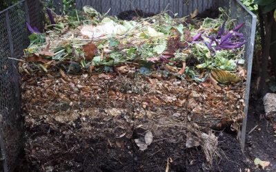 The New Gardener’s Guide to Composting at Home