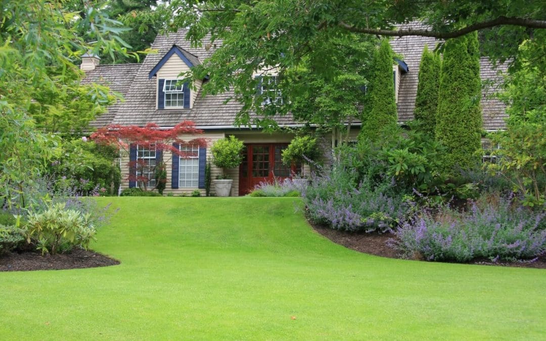 Dig In: Easy Landscaping Tips That Transform Any Yard