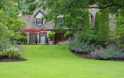 Dig In: Easy Landscaping Tips That Transform Any Yard